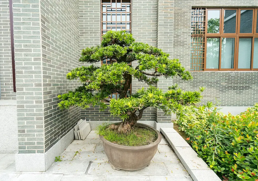 Biệt Thự Vinhomes Riverside - Hà Nội